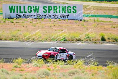 media/May-05-2024-Lucky Dog Racing (Sun) [[8a365fce5b]]/1030am-Turn 3/